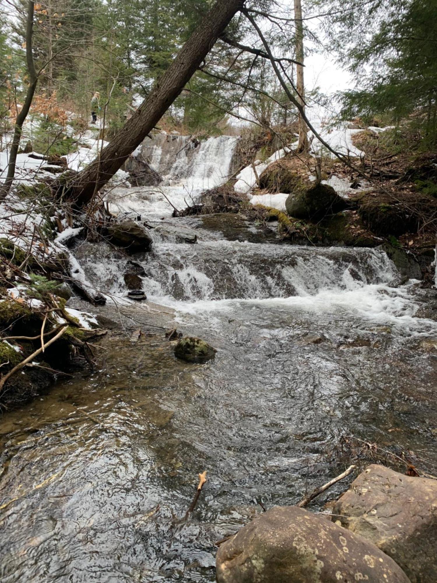 Paradis Sauvage Geronimo Saint-Etienne-de-Bolton Экстерьер фото